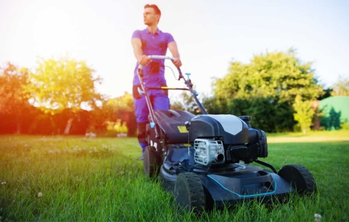 Mag je op een zondag je gras maaien, of de haag scheren? | Redactie24